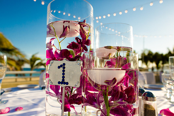 Cabo Photoshoot