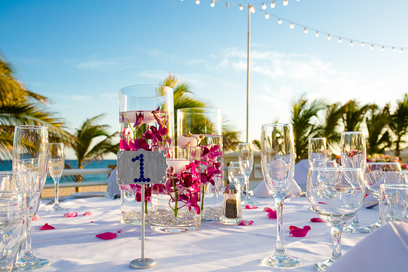 Cabo Photoshoot